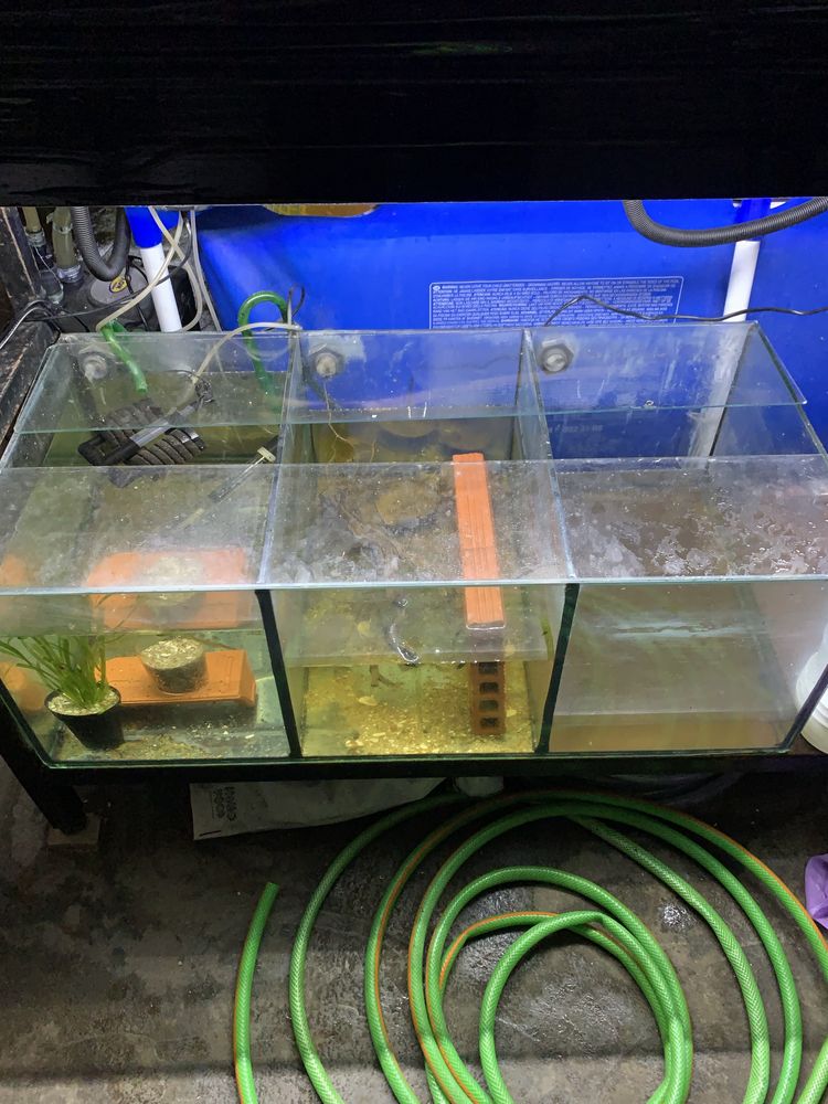 Aquario  3 em 1::::::::: 90 centimetros