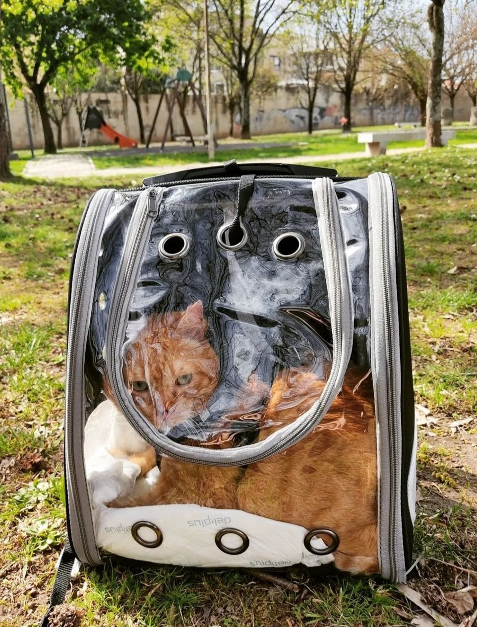 Mochila transportadora para gatos