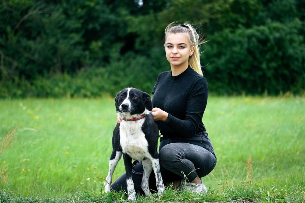 Pędzelek - piękny psiak szuka domu