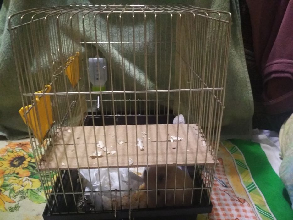 Продам клітку для гризунів або птахів