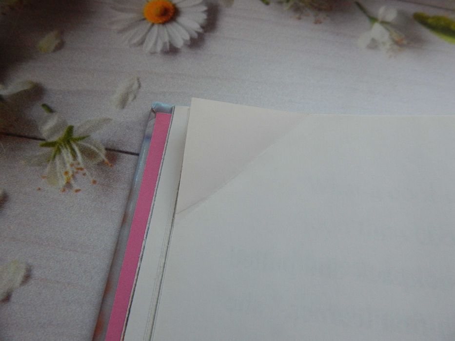 Книга про Барбі та Беккі англійською мовою, английский для школьников