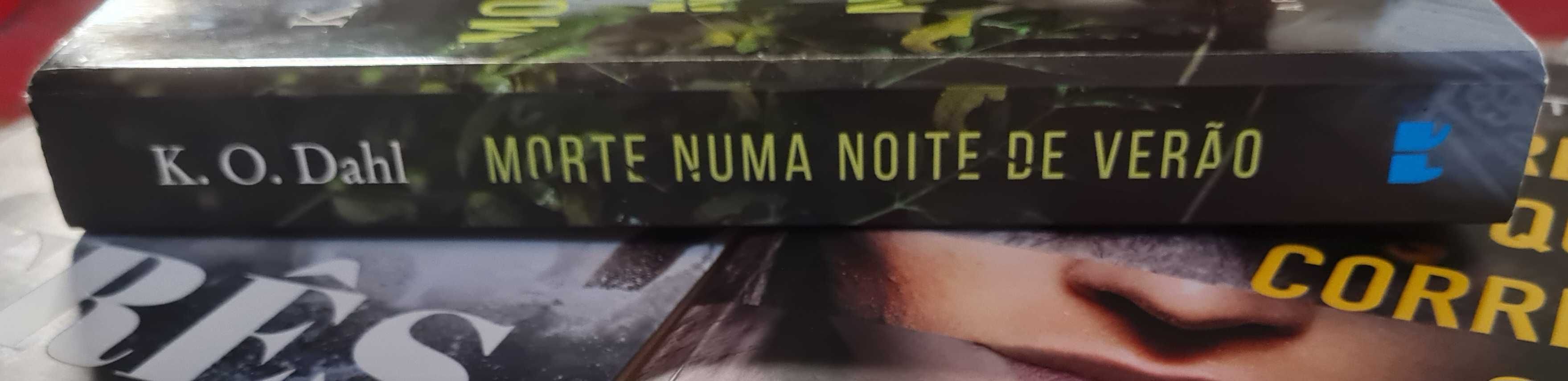 Morte Numa Noite de Verão de K. O. Dahl