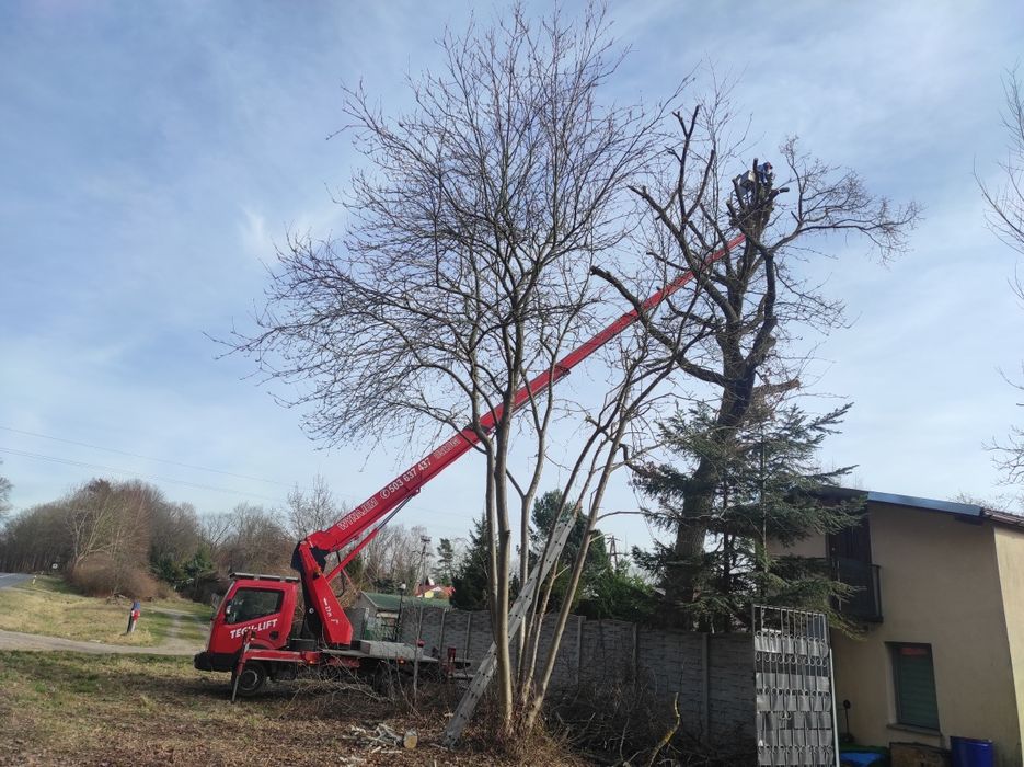 Wycinka drzew  Podnośnik koszowy Zwyżka Mycie dachów