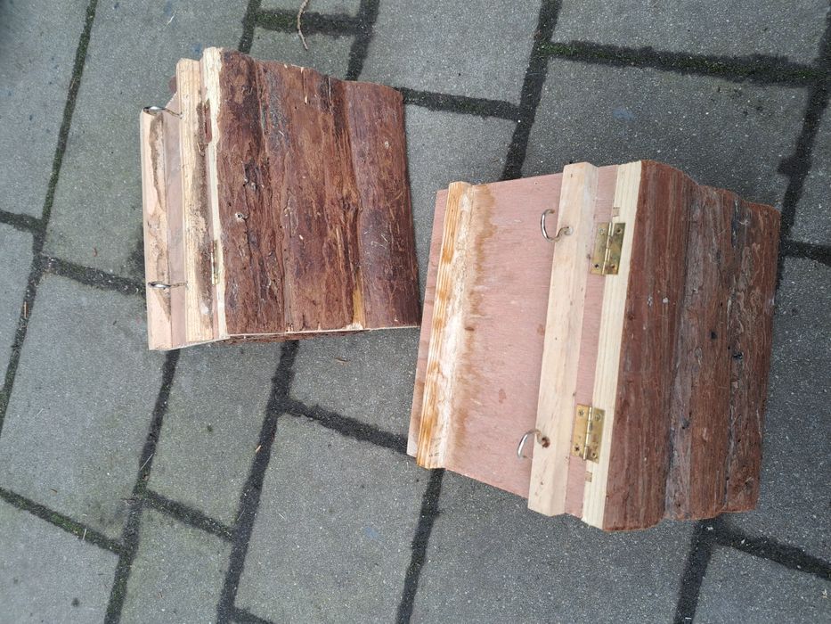 Paśnik dla królika świnki morskiej