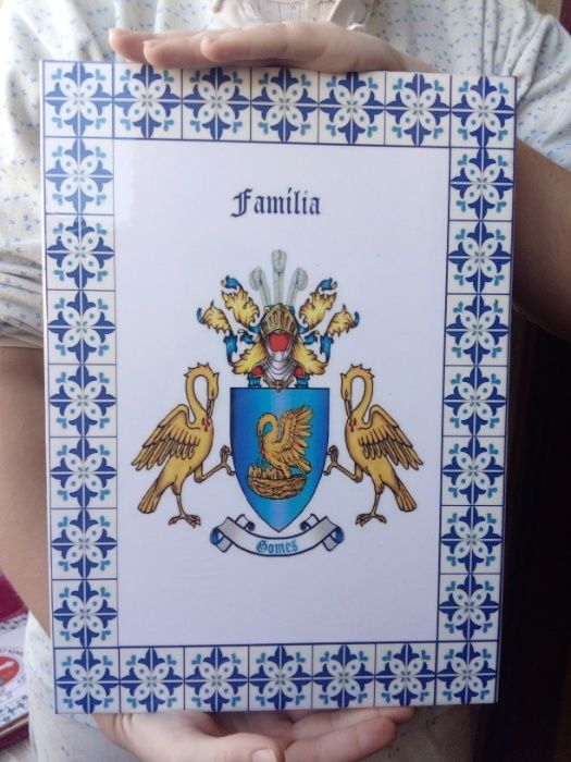 Brasões de família em azulejos cerâmicos portugueses