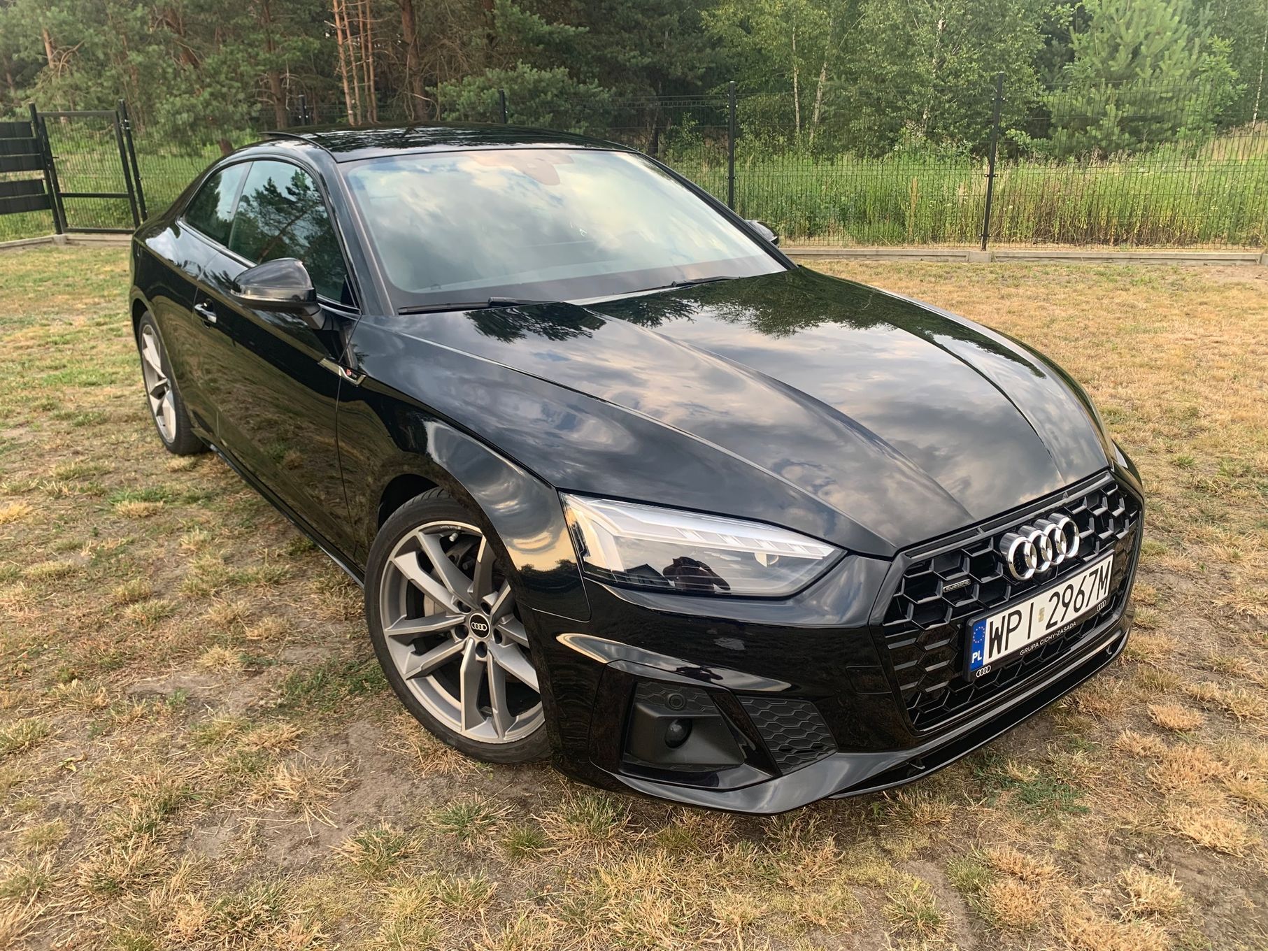 Audi A5 F5 S-Line 265PS Quattro Kamery360 Matrix Virtual Cockpit Igła
