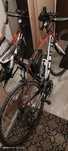 Cube agree gtc PRO, campagnolo, deda 7,8 kg