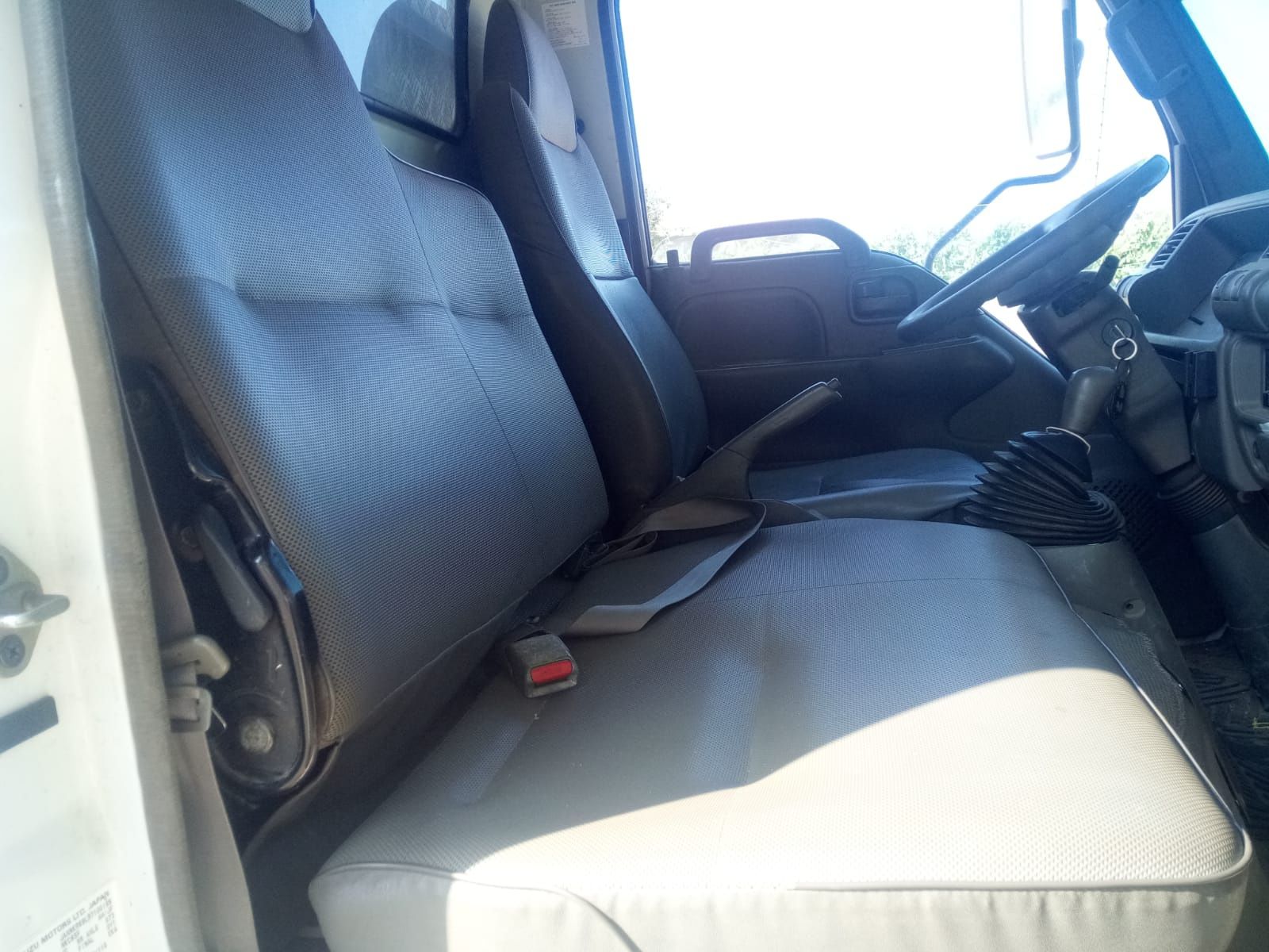 Isuzu transporte de animais vivos