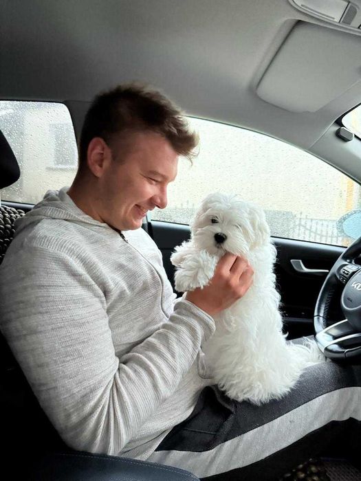 Petsitter Dogsitter Catsitter - Profesjonalna opieka nad Kotem Psem