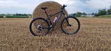 Rower MTB Head X-Rubi II