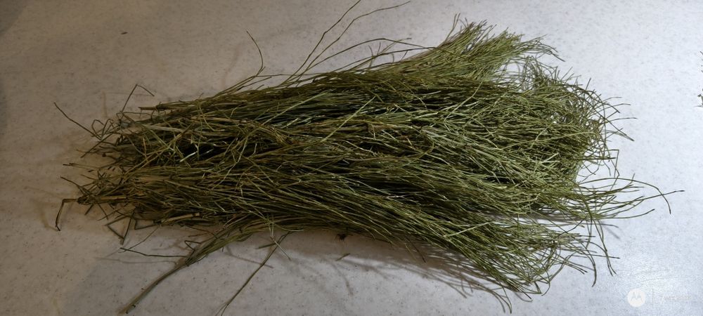 Skrzyp polny suszony ekologiczny 50g.