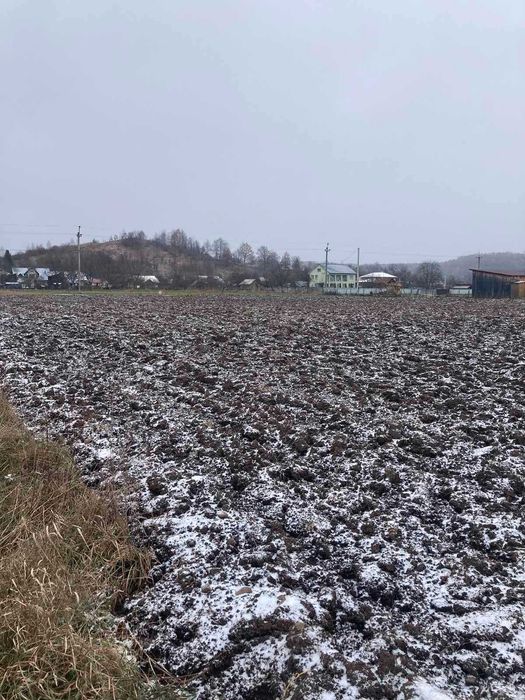 Земельна ділянка с. Вербовець, Косівського району