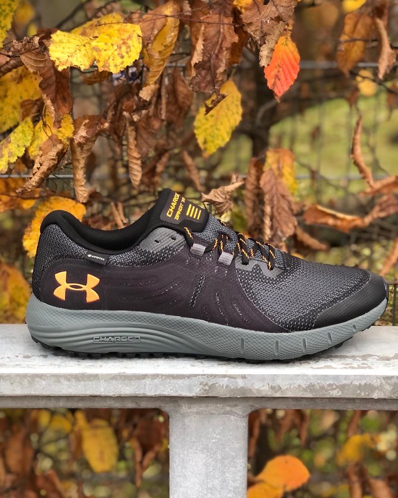 Кросівки Under Armour ChGD Trail GTX 3022784-006 оригінал 47,5(31 см)