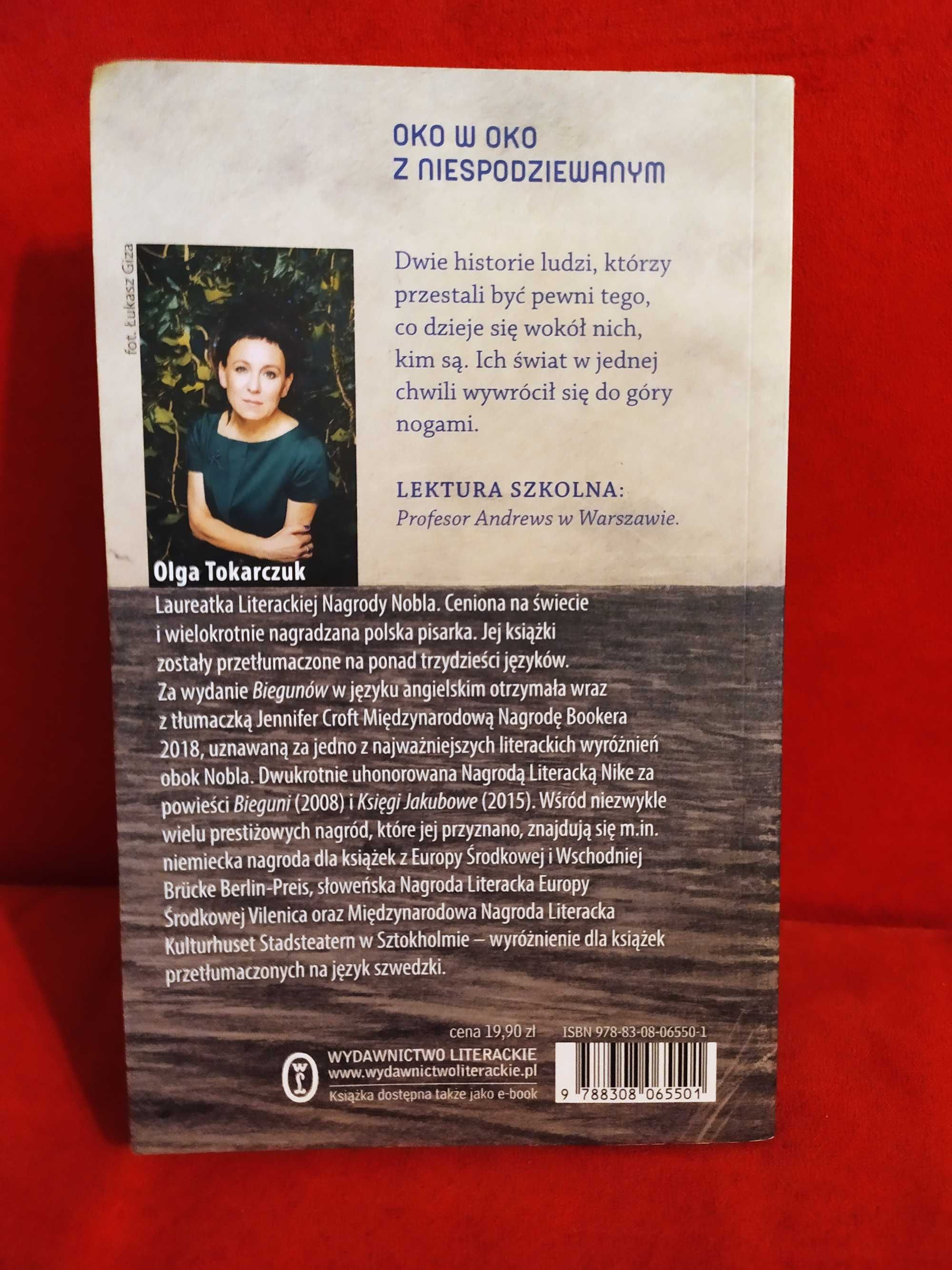 Profesor Andrews w Warszawie, Wyspa - Olga Tokarczuk