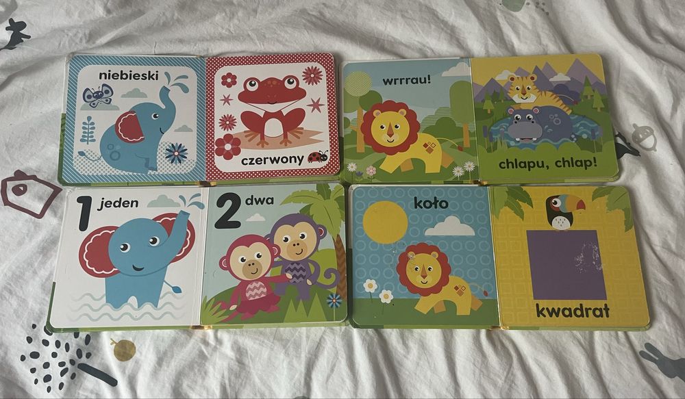 Ksiazeczki fisher-price