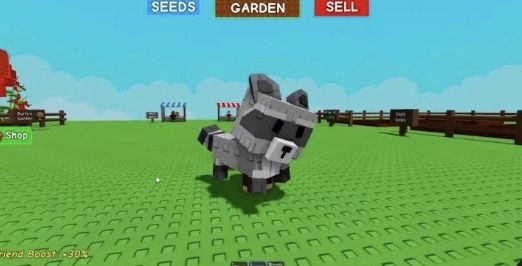 Єнот гров а гарден