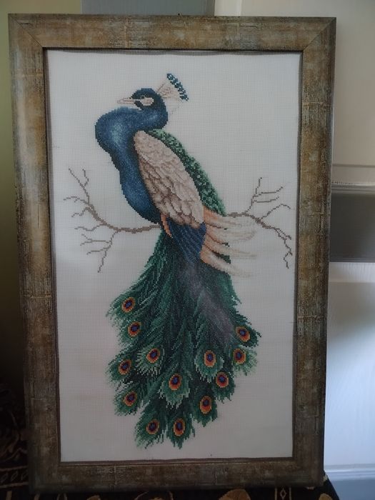 Dekoracyjny Królewski paw,