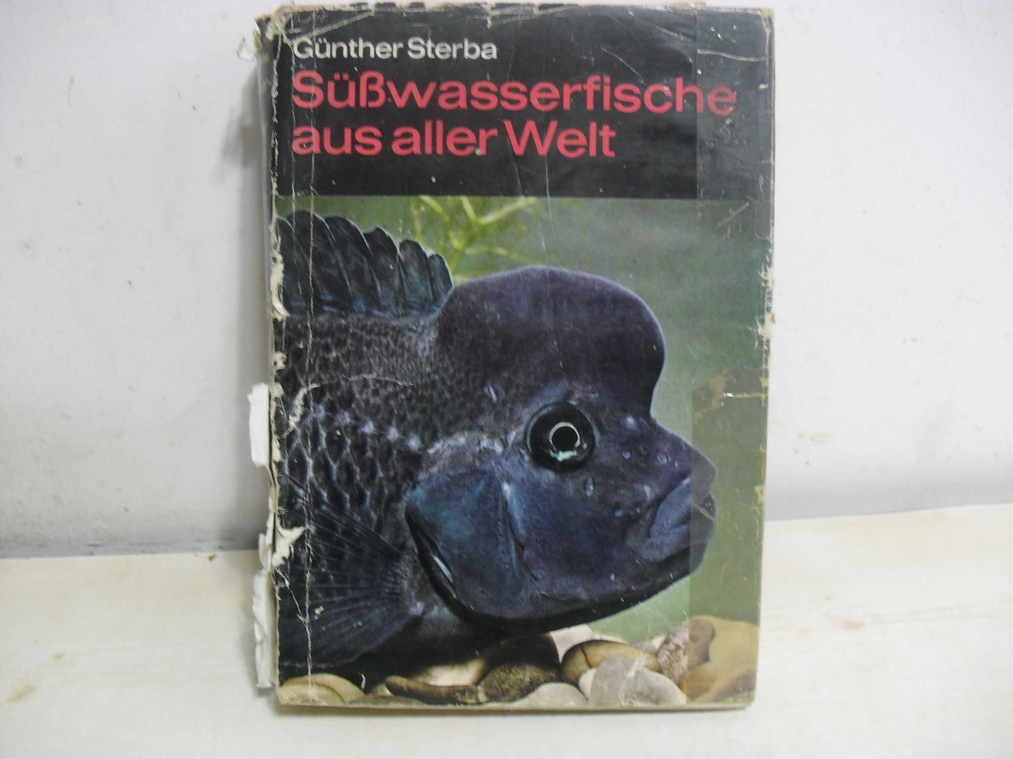 Akwarystyka - Suswaserfische aus aller welt - Gunther Sterba