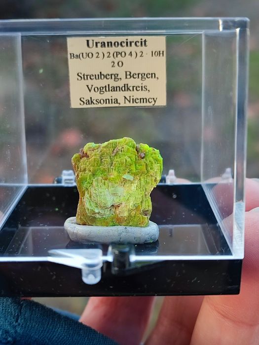 Minerał do kolekcji uranowy uranicircit UV