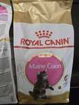 Royal Canin Maine Coon Kitten – сухий корм для кошенят породи мейн-кун
