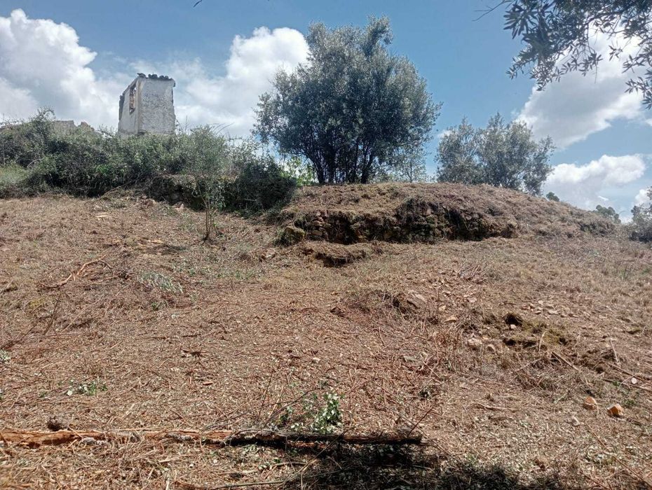Terreno em Mação