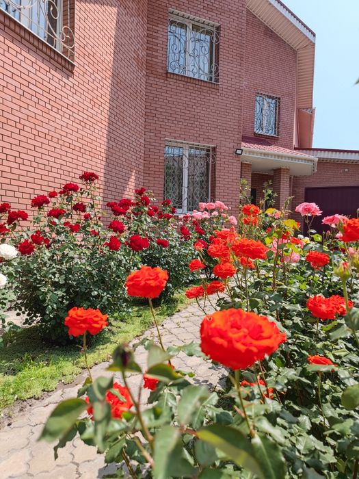 Продам шикарный дом Клочко, Калиновая, Юбилейный