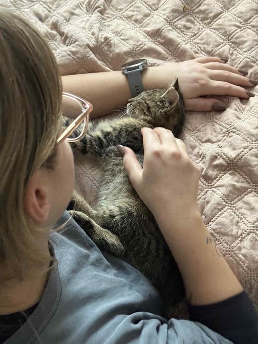 Malutki kotek do adopcji, znaleziony bezdomny