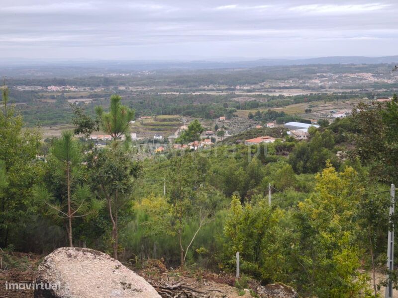 Terreno / Seia, Seia, São Romão e Lapa dos Dinheiros