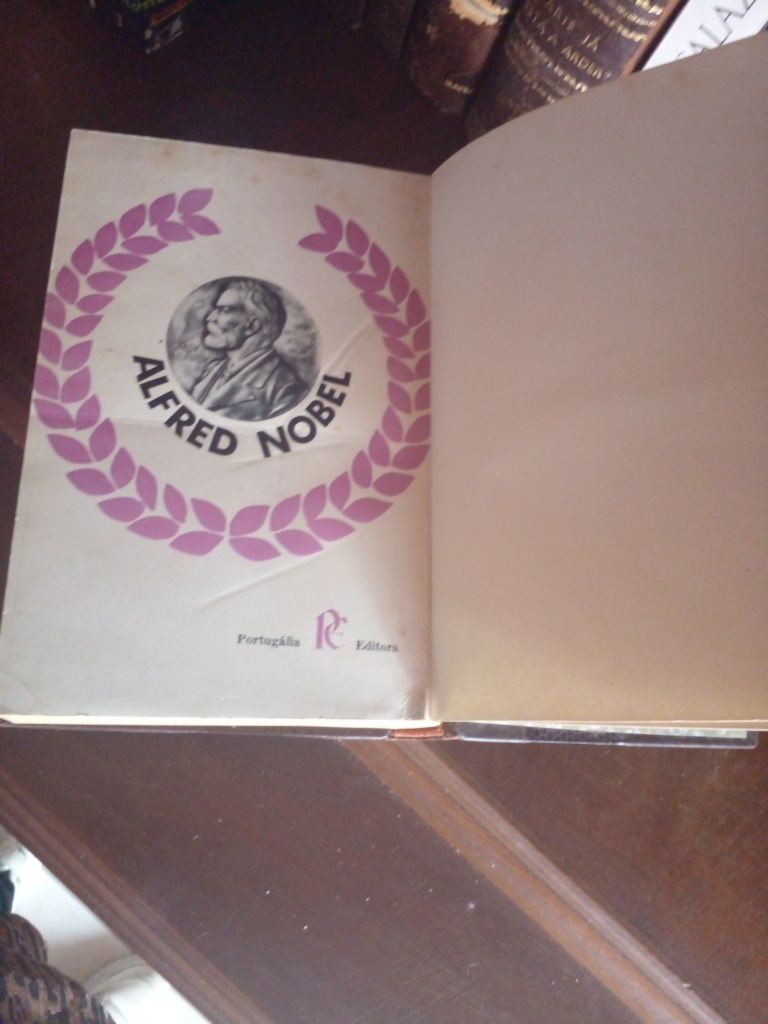 Livro antigo "O PRÉMIO"de Irving  Wallace