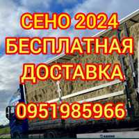 СЕНО В ТЮКАХ, сіно для КРС, лошадей кукурузное и др. Качество. Объёмы.