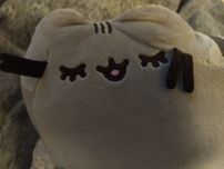 Pusheen Chmurka OPIS