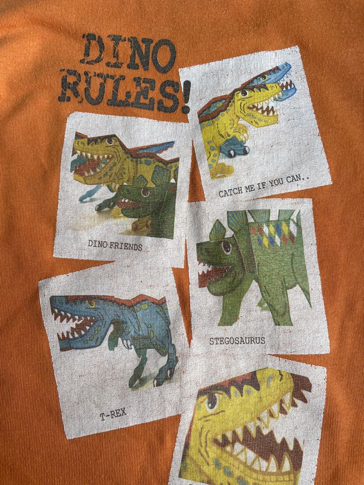 Bluzka z dinozaurem