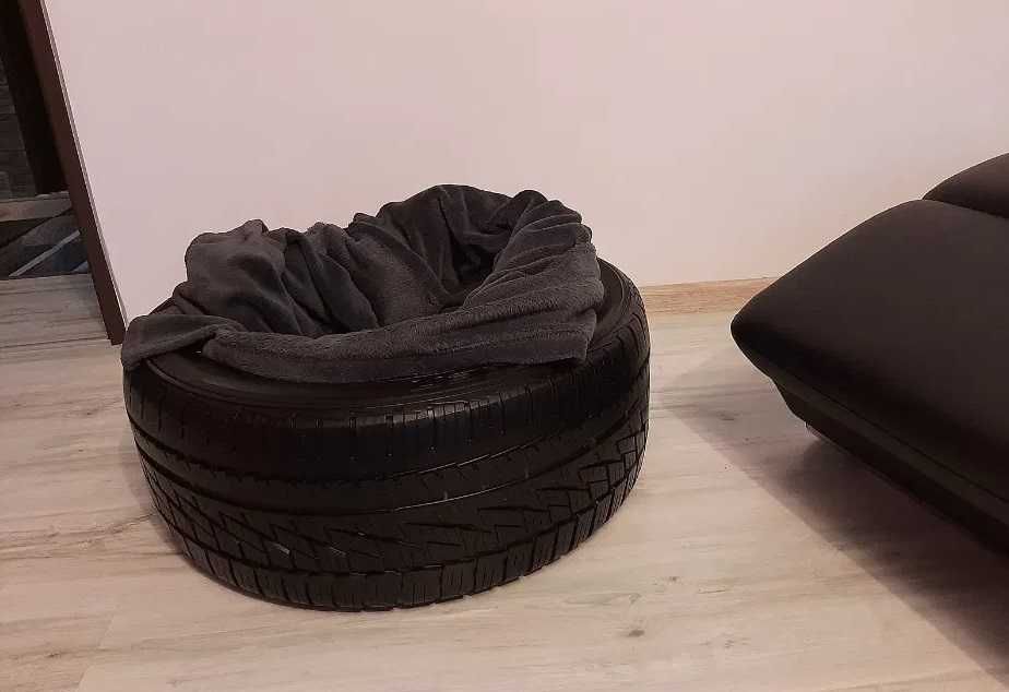 Leżak,leżanka dla psa lub kota,nowoczesny element biura,warsztatu,domu