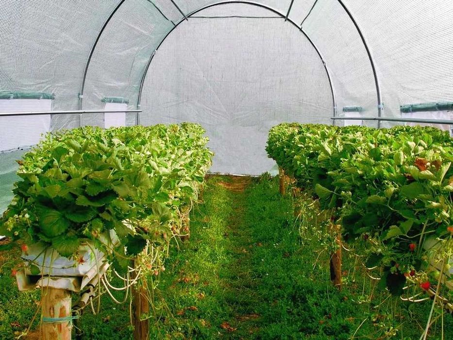 TUNEL FOLIOWY OGRODOWY Szklarnia 2x3 m NOWY Stelarz Jesień Zima OKAZJA