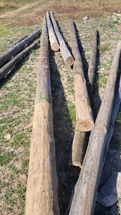 Postes de madeira