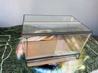 Szklane terrarium 40-60-40