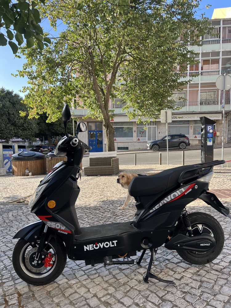 Mota neovolt runner