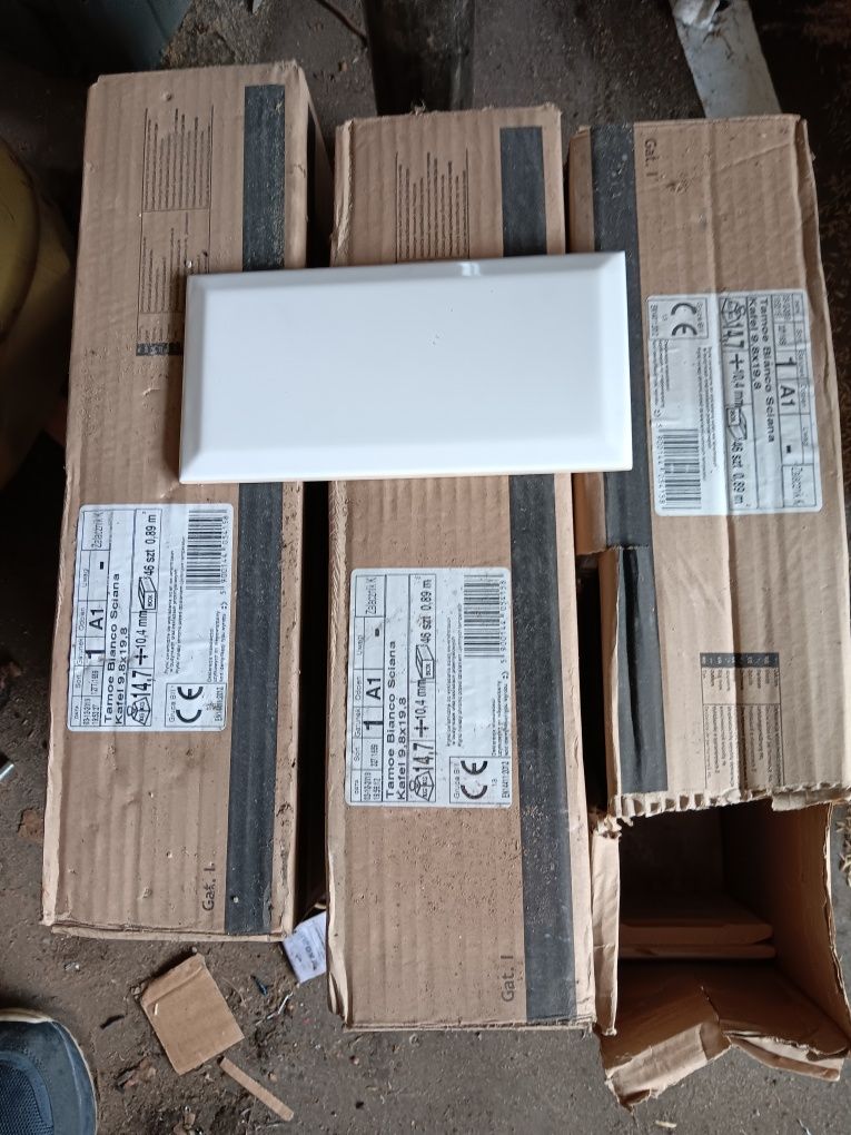 Płytki ścienne paradyż Tarnoe Bianco Ściana Kafel 9,8x19,8