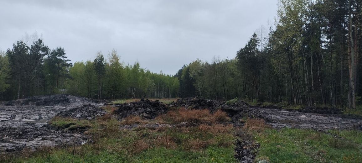 Usługi koparkami Staw oczka wodne