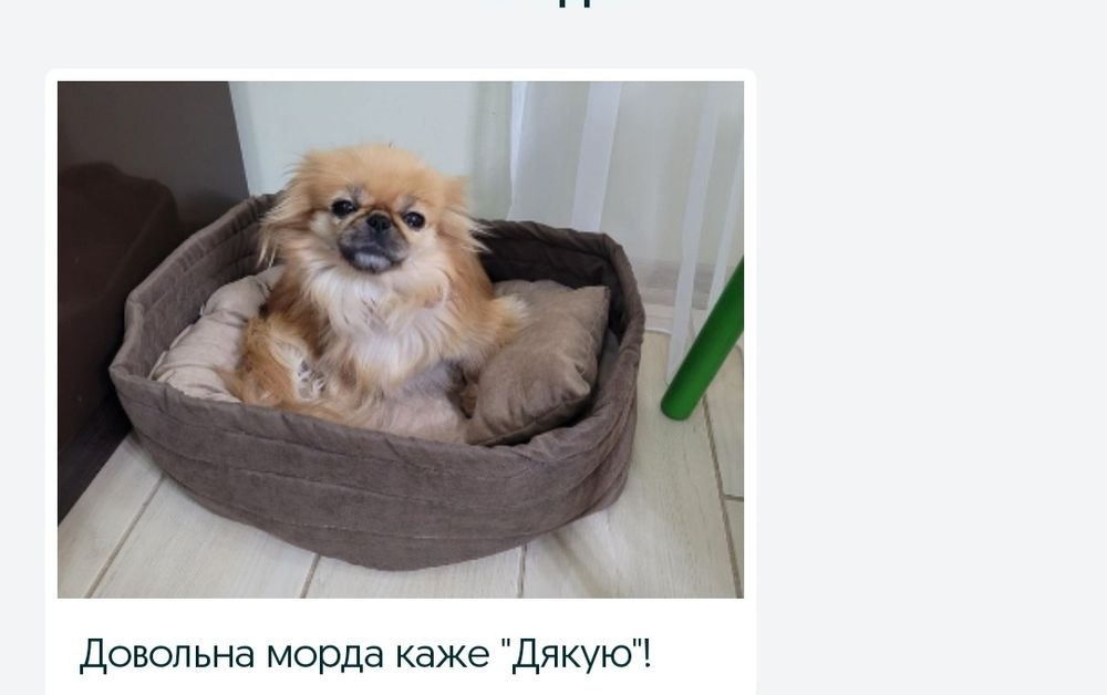 Лежак для собак, лежанка, лежачок, спальное место для собак и кошек