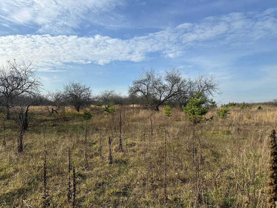 Продаж ділянки 10 соток під забудову. Біля лісу.Зручний під'їзд.ID:728