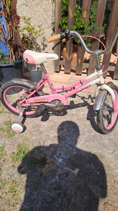 Bicicletas em Travassós-Fafe