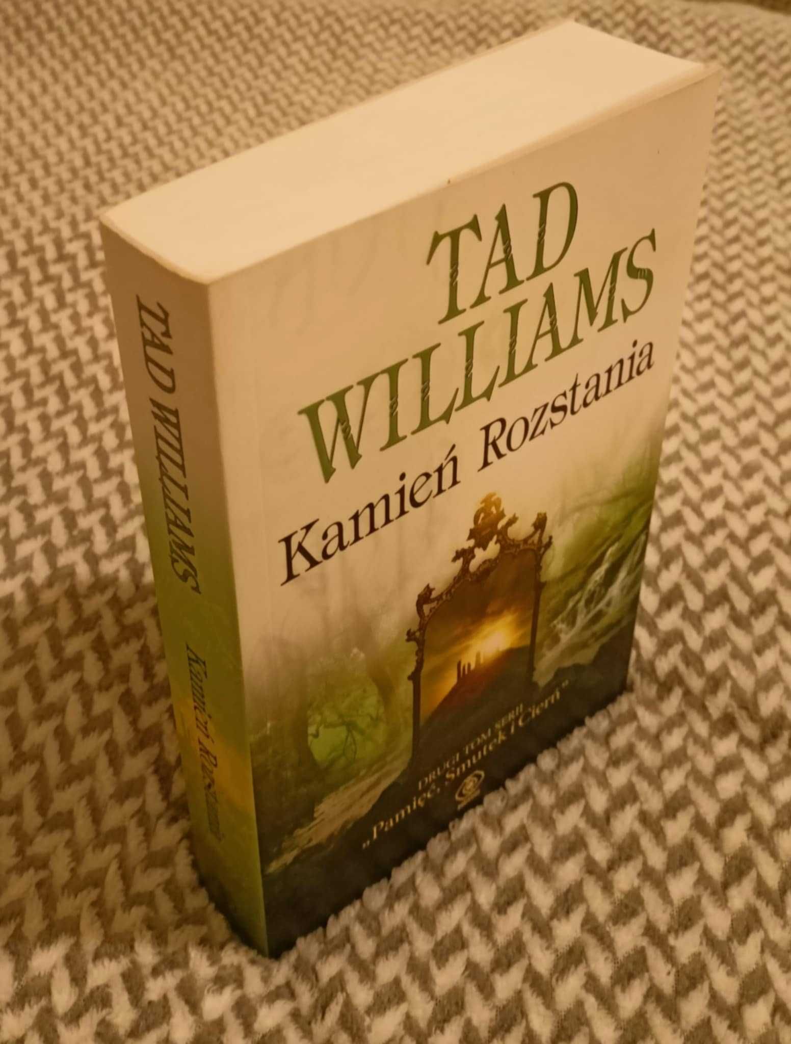Kamień Rozstania - Tad Williams