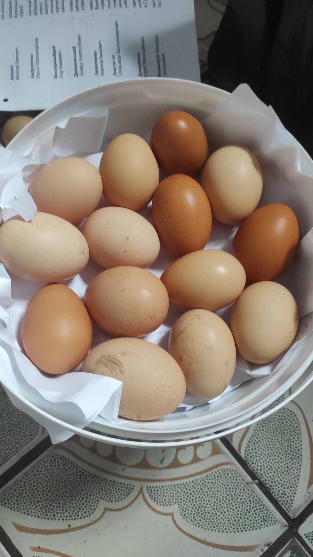 Продам домашні яйця.
