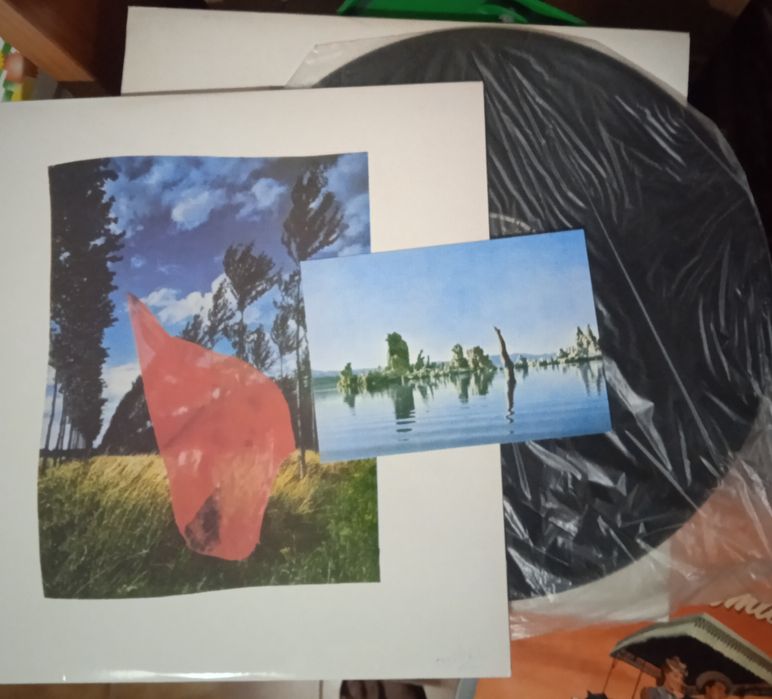 Vinil Pink Floyd -Wish you were here