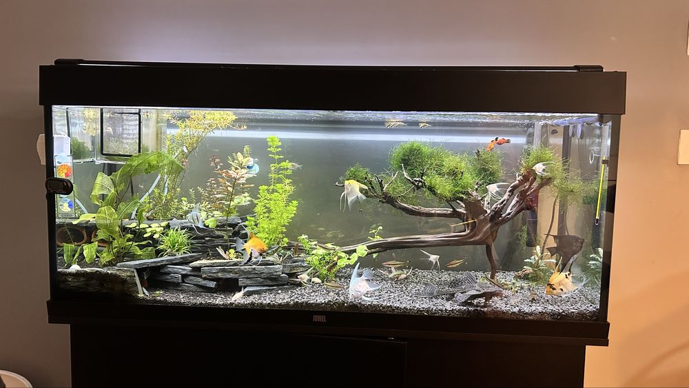 Iluminacao led aquario Aquatlantis 1200mm