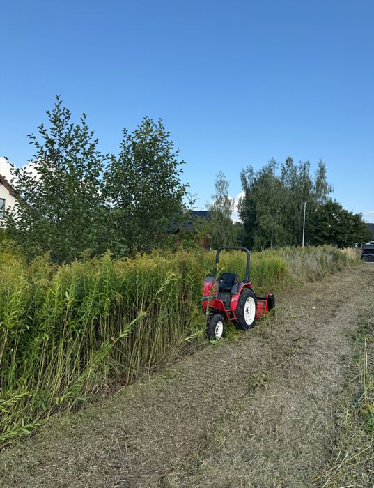 Czyszczenie działek- Koszenie* Karczowanie* Wycinka* Porządkowanie**