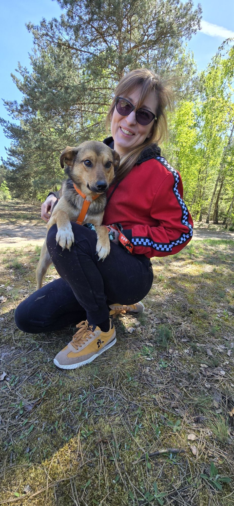 Lukier  młodziutki piesek do adopcji