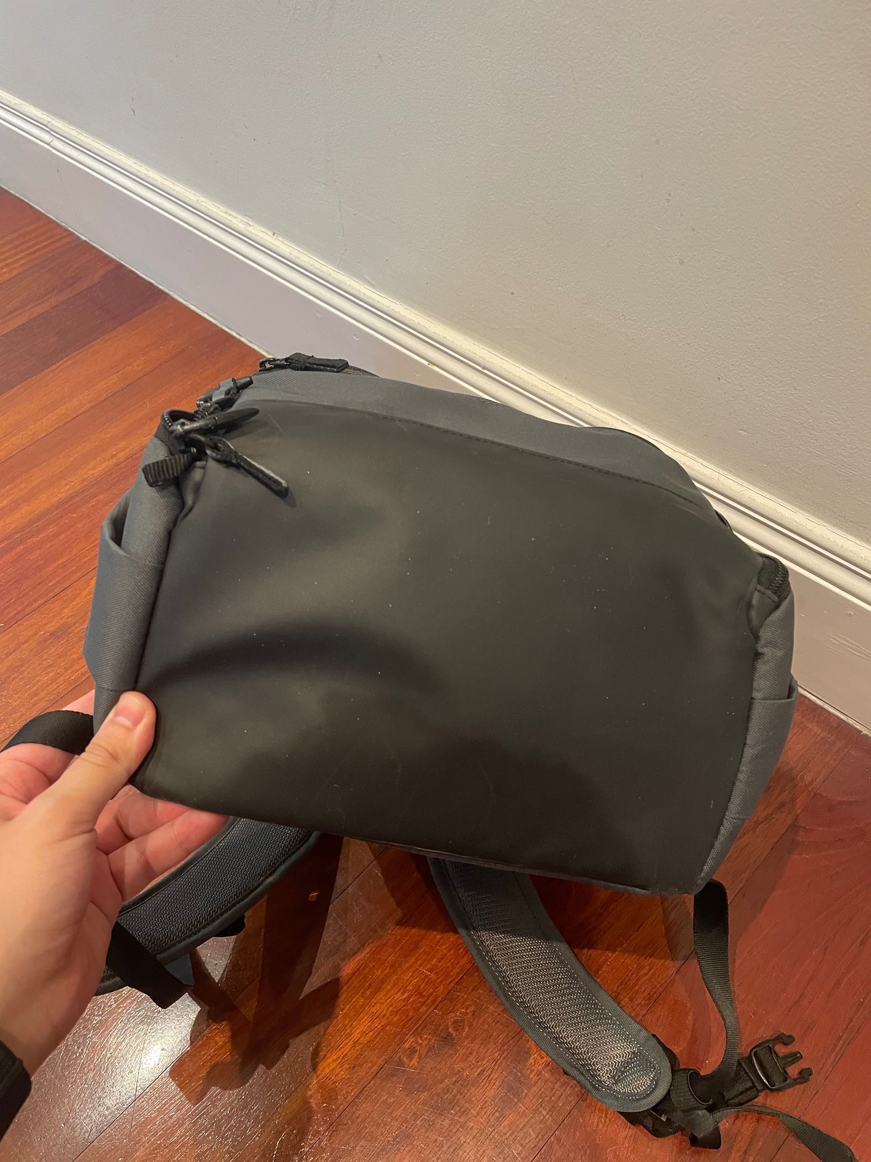 Lowepro mochila TruckeeBP 250 LX (cinza)