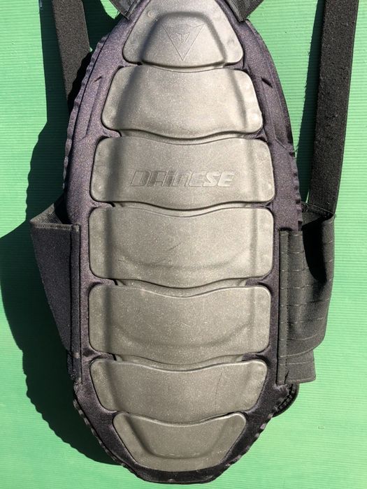 Защита спины черепаха моточерепаха мотозащита Dainese лыжи